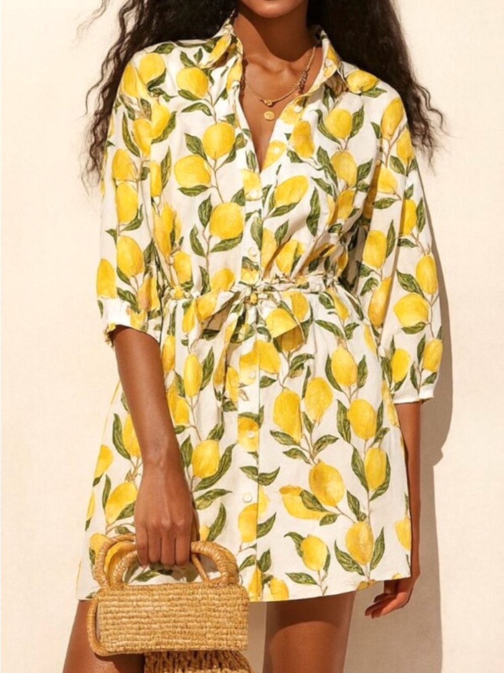 NWT J. Crew Lemon-Print Cinch Waist Dress
